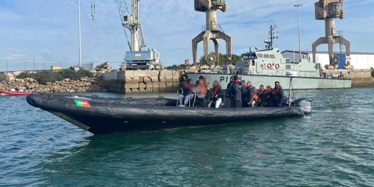 MafraTV_Mafra_TV_mafra_tv_noticias_mafra_novidades