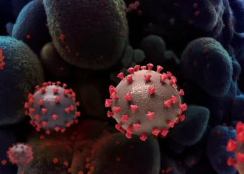 Infeções por Covid-19 aumentam 52% num mês, alerta agência de saúde da ONU