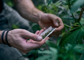 PJ apreende 30 mil doses de cocaína no Aeroporto de Lisboa