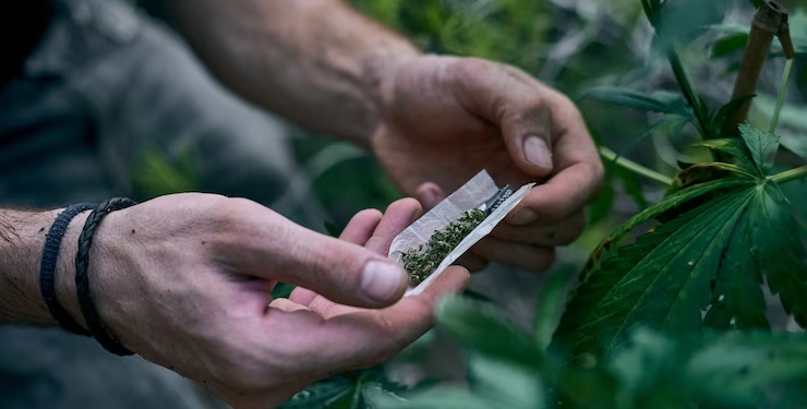 PJ apreende 30 mil doses de cocaína no Aeroporto de Lisboa