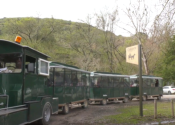 Prémio Cinco Estrelas Regiões 2024 | Tapada Nacional de Mafra