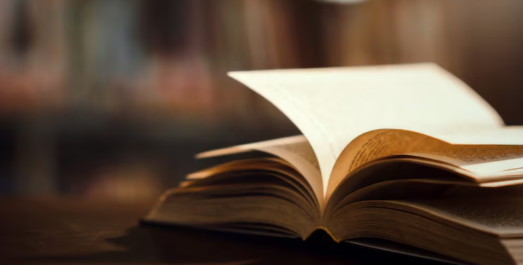 camara_municipal_premio_prosa_de_ficção_MafraTV_Mafra_TV_mafra_tv_noticias_mafra_novidades