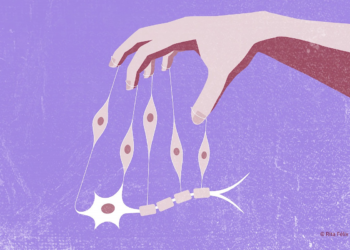 Cientistas criam células com potencial para o tratamento de longa duração da doença de Machado-Joseph