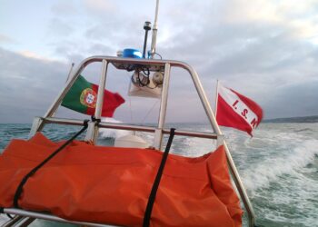 Resgatados seis passageiros de embarcação sem propulsão junto ao Terminal de Cruzeiros de Lisboa