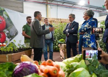 Feira de São Pedro está inaugurada: Tradição e inovação juntas em 2024