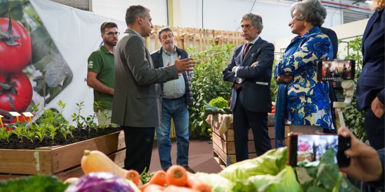 Feira de São Pedro está inaugurada: Tradição e inovação juntas em 2024