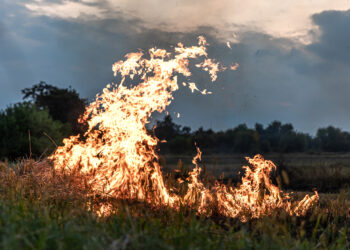 Perigo de Incêndio Rural – Medidas Preventivas