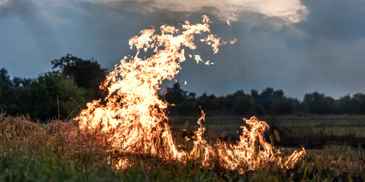Perigo de Incêndio Rural – Medidas Preventivas