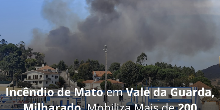 Incêndio de mato em Vale da Guarda, Mafra