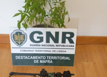 Detido por Posse de Arma Proibida e Material Ilegal no Concelho de Mafra