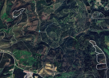 Tapada Nacional de Mafra Realiza Ações de Fogo Controlado para Prevenir Incêndios Florestais