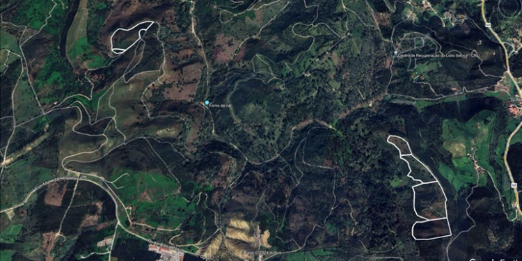 Tapada Nacional de Mafra Realiza Ações de Fogo Controlado para Prevenir Incêndios Florestais