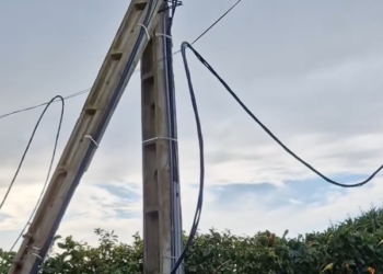 Árvore e postes de eletricidade caem em Ribamar devido à depressão IVO