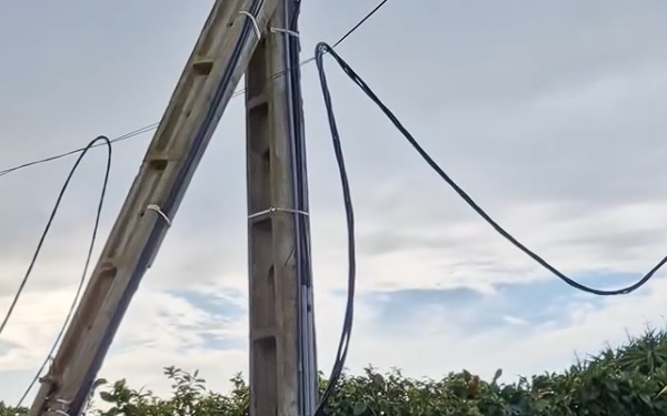 Árvore e postes de eletricidade caem em Ribamar devido à depressão IVO