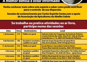 Sessões informativas | Controlo da Vespa Asiática