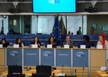 Hélder Sousa Silva Recebe Deputadas Brasileiras em Missão pela Igualdade de Género e Direitos das Mulheres