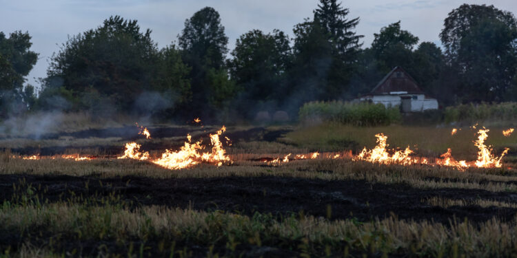 Governo declara situação de alerta em todo o território continental
