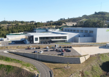 Plasoeste recruta 30 operadores: candidaturas via Clan