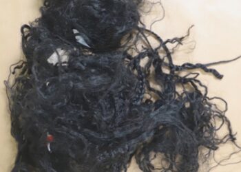 Polícia Judiciária Apela à População para Identificação de Bebé Encontrado em Trajouce