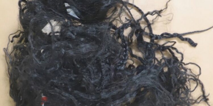 Polícia Judiciária Apela à População para Identificação de Bebé Encontrado em Trajouce