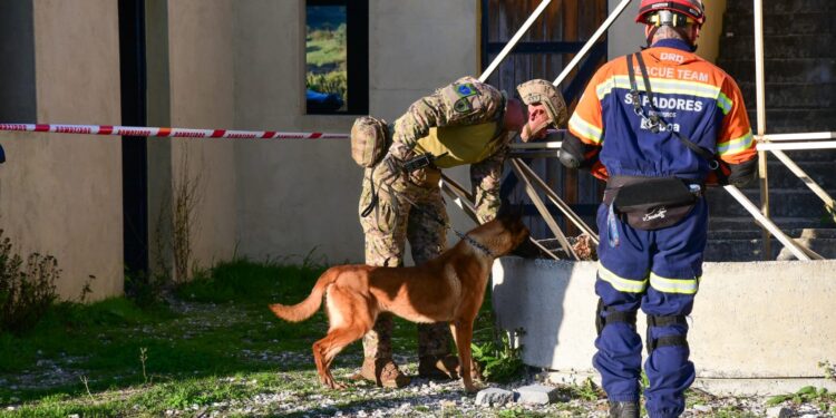 Exército Português testa reação a cenário de sismo de grande magnitude em Lisboa