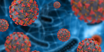 INSA esclarece que primeiro caso de infeção por Candida auris em Portugal foi identificado em 2022