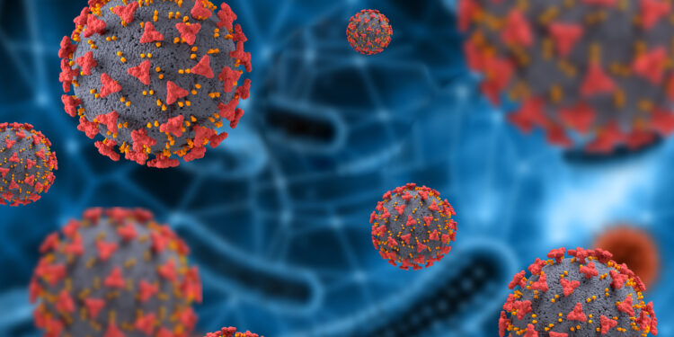 INSA esclarece que primeiro caso de infeção por Candida auris em Portugal foi identificado em 2022