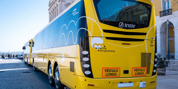 Área 2 | Carris Metropolitana reforça cinco linhas com novos horários a partir de janeiro