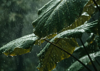 IPMA prevê chuva, vento forte e possibilidade de neve na Serra da Estrela