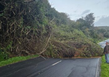 Agravamento das condições meteorológicas coloca Grande Lisboa sob aviso