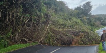 Agravamento das condições meteorológicas coloca Grande Lisboa sob aviso