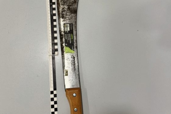 Mafra  – Detido em flagrante por posse de arma proibida