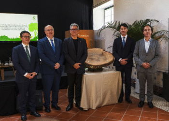 Tabaqueira investe na proteção da floresta e biodiversidade da Tapada de Mafra