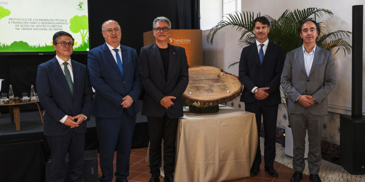 Tabaqueira investe na proteção da floresta e biodiversidade da Tapada de Mafra