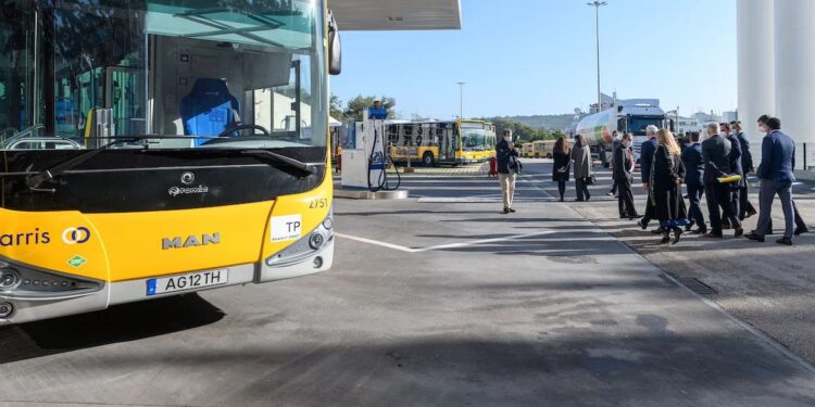 Carris Metropolitana lança nova página digital dedicada à comunicação social