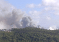 Incêndio em área de mato mobiliza 106 operacionais em Igreja Nova e Cheleiros
