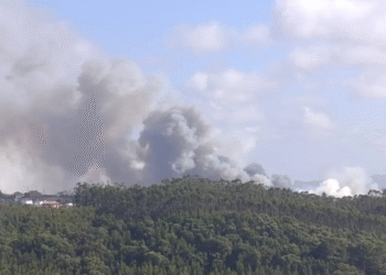 Incêndio em área de mato mobiliza 106 operacionais em Igreja Nova e Cheleiros