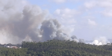 Incêndio em área de mato mobiliza 106 operacionais em Igreja Nova e Cheleiros