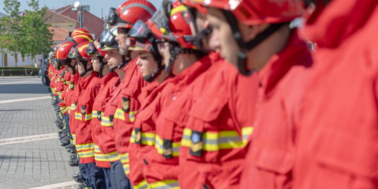 Câmara de Mafra aprova protocolo de 1,5 milhões de euros para apoiar bombeiros voluntários