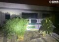 Ericeira – Homem de 35 anos detido por tráfico de estupefacientes