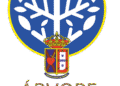 Santa Casa de Mafra lança campanha “Árvore da Solidariedade”