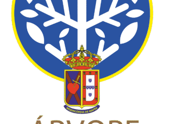 Santa Casa de Mafra lança campanha “Árvore da Solidariedade”