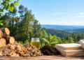 Tapada Nacional de Mafra recebe apresentação de 11 soluções inovadoras para o setor florestal